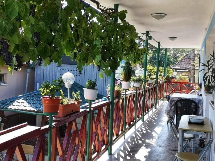 Hotel Casa Vinco Vici Turda Exterior foto